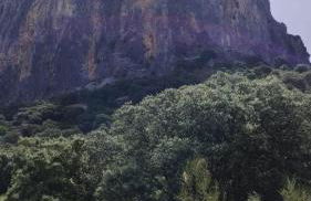 El Pitijopo - Foto 49