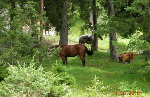 Chalet Villa Bianca - Foto 30