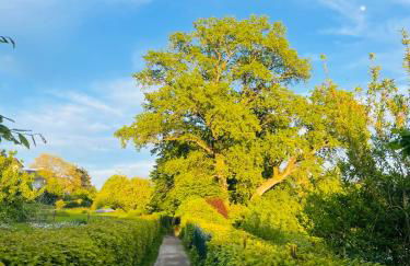 " Sunshine am See " - Foto 17