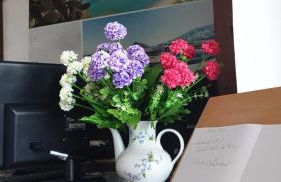 Hotel Mareluna Ischia - Foto 47