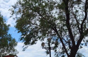 Dilion Guest House - Foto 37