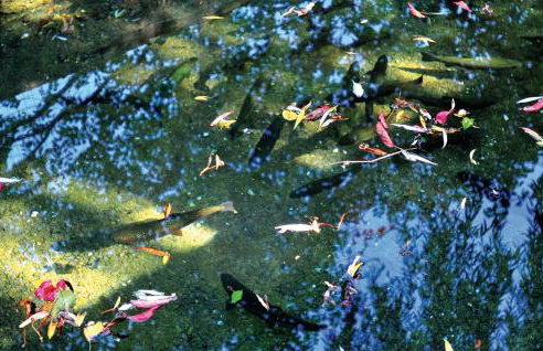 Lovely Home In Rumin With Kitchen - Foto 45