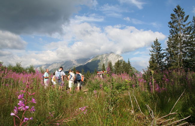 Le Pavillon des Fleurs - Foto 12