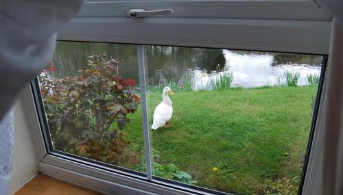 Cottage - Sleeps 3, Parking & Fishing - Foto 5, Garden view