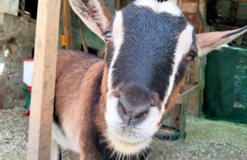 Cottoni Natural Space - Foto 28