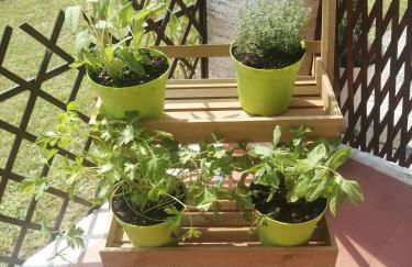 Timo & Rosmarino - Foto 20