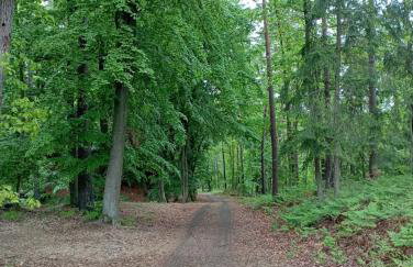 Apartament Ami Stegna - Foto 18