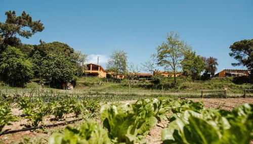 Casa rural en el campo LAS DALIAS - Foto 5