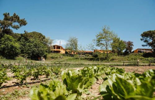 La BERBENA casa rural en el campo - Foto 6