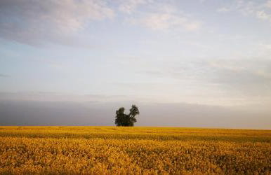 Na Chałupki - Foto 30