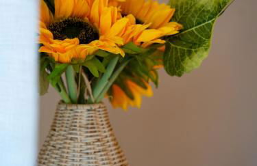 Brisa do Nordeste - Photo 28