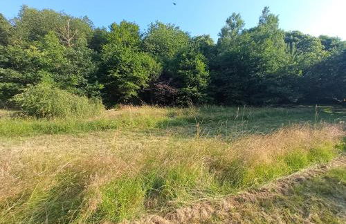 Maison à l'ancienne avec grand terrain , animaux bienvenus - Foto 73