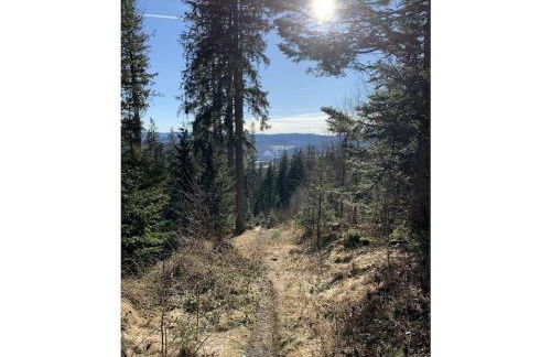 on the Willmann farm - Foto 8