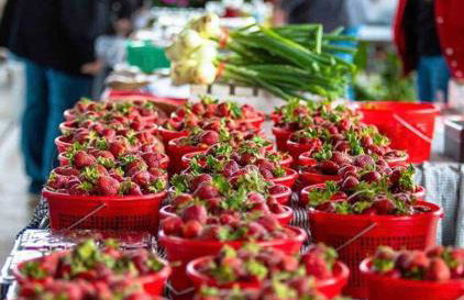 The Cullman Haus-Steps frm Cullman High-CHORE FREE - Foto 46