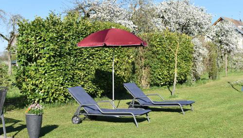 Ferienhof Dillmann - Foto 5