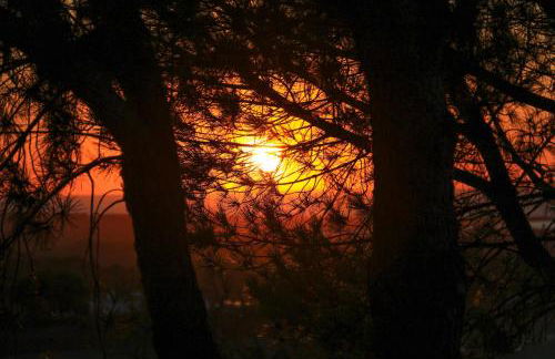 Monte Sardinha - Foto 38