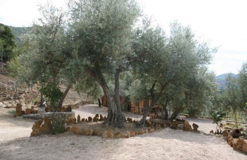 Cabañas El Nogueral - Foto 56