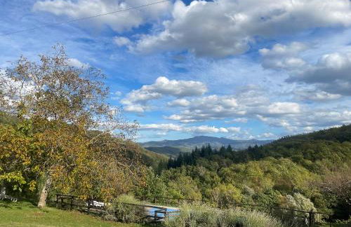 Bio Agriturismo il Vigno - Foto 158