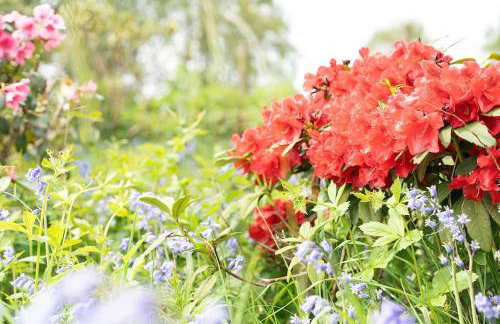 High Peak 5-Star Haven Gardens, Parking & WiFi - Foto 28