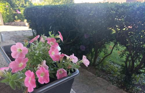 Acogedor apartamento con jardín - Foto 27