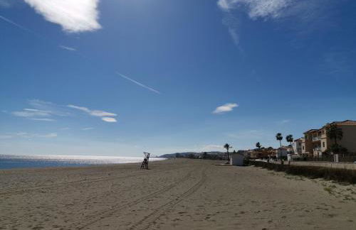 Beach Diamond - Photo 40