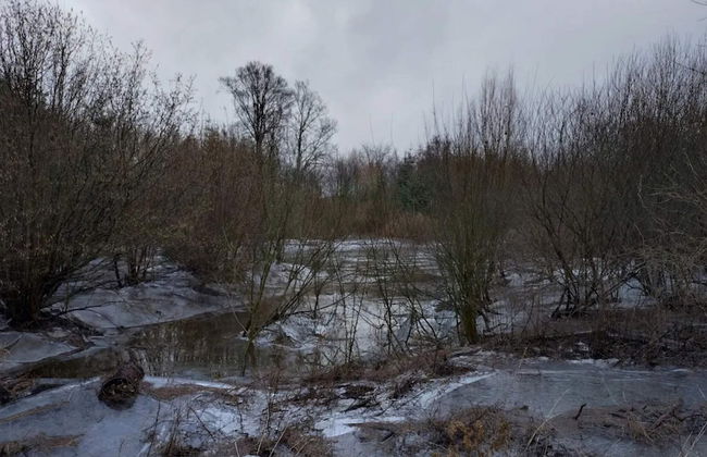 4 Star Holiday Home in Faaborg - Foto 29