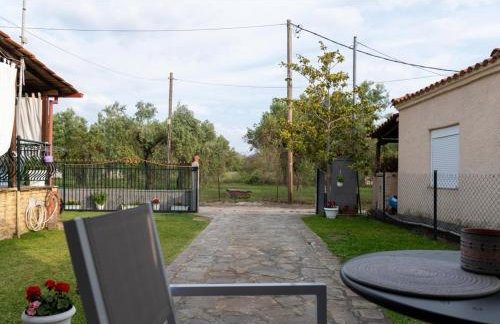 Ο ΚΗΠΟΣ ΤΗΣ ΕΔΕΜ - Foto 4