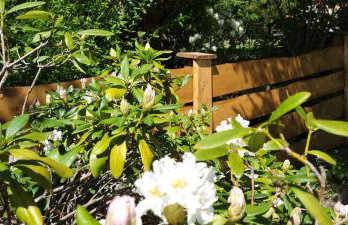 Apartamenty Pod Uwalonym Dębem - Foto 21