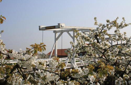 Fewo Elbblick im Haus Lühegarten - Photo 34