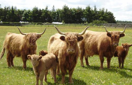 Smugglers Rock Country House - Foto 32