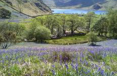 West Cumbria static caravan - Foto 50