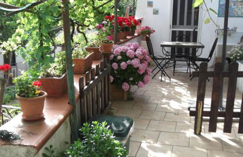 Le Mimose - Photo 60