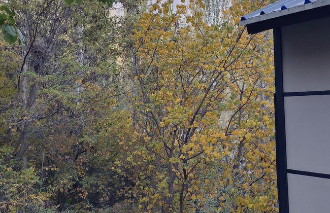 Sevinc With Forest View - Cloud Nine and a Half - Photo 8