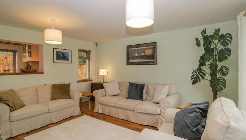 Little Foxes - Photo 4