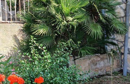 Apartments Elena & Damir - Foto 41