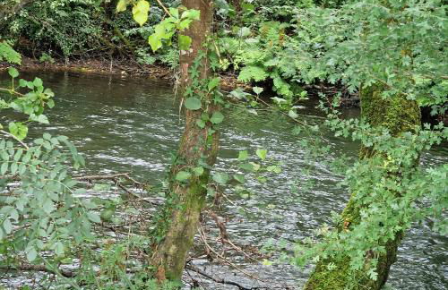 Casa 1 LarSanAdrian - Foto 2