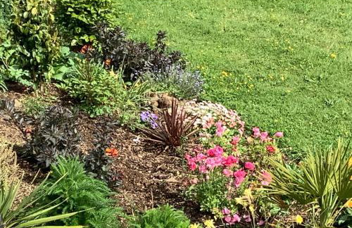 polgoon Vineyard annex Penzance - Photo 21