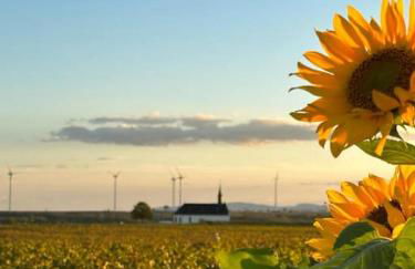 Casita grün - Photo 22