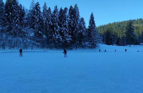Studio avec belle vue proche du lac Genin Echallon - Photo 17