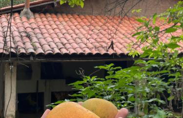 Sítio na Serra de Mulungu - Foto 9