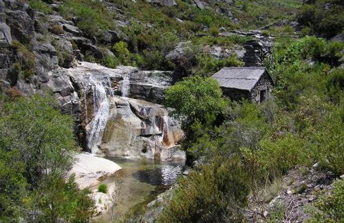 CASA DA ESCOLA - Foto 20