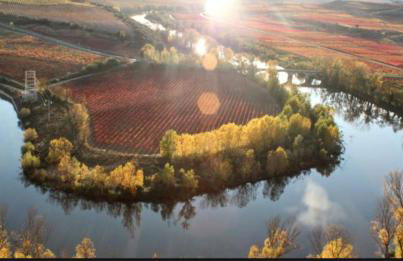 Apartamento Gaztainondoak(II)A 10min de Laguardia - Foto 40