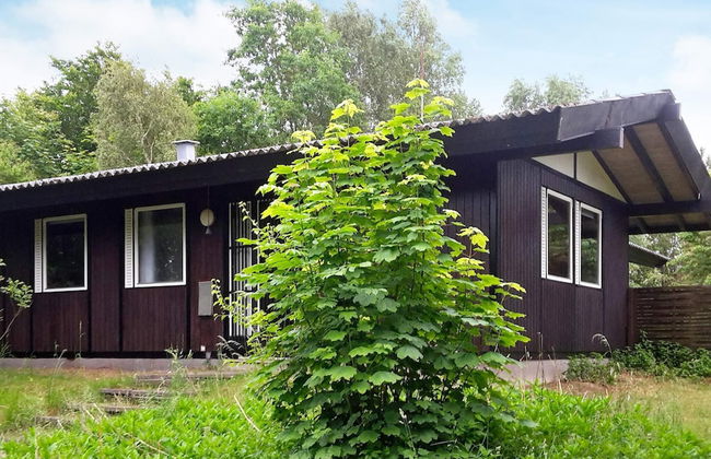 6 Person Holiday Home in Hundested - Foto 1
