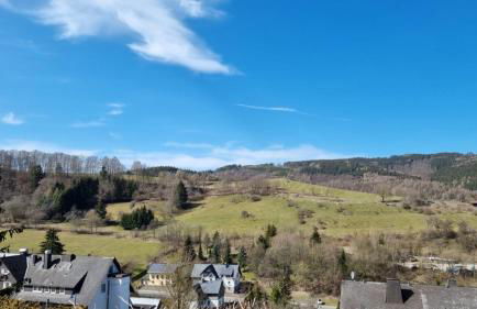 Ferienwohnung Aartalblick Willingen - Foto 23