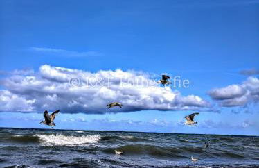 Ostseeblick - Foto 51