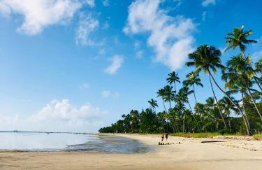 Flat Eco Resort Praia dos Carneiros-PE - Foto 31