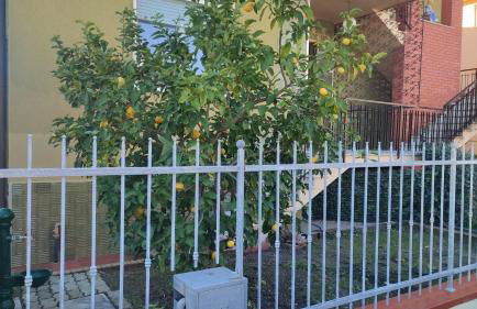 Appartamento La Verdina Pisa CNR - Foto 12