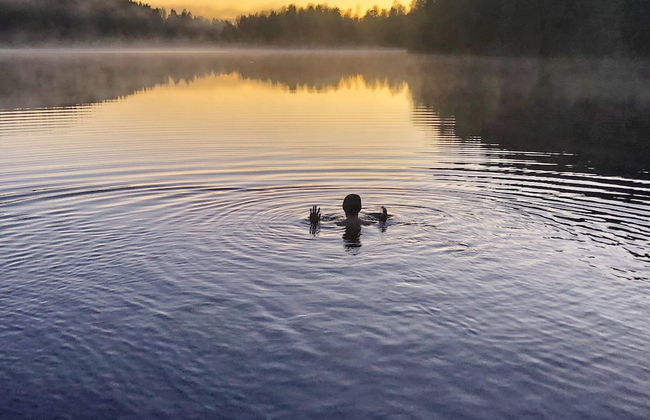 6 Person Holiday Home in Tocksfors-by Traum - Foto 12