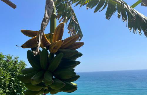 Casa Monnalisa - Calandre Sabbie Oro - Foto 33