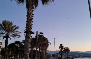 ESTUDIO WIOLKA - Foto 23